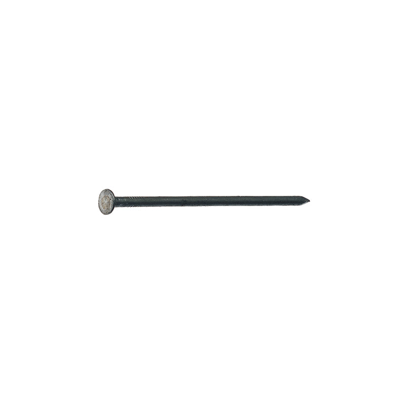 Grip-Rite 16D 3-1/2 in. Box Bright Steel Nail Flat Head 50 lb