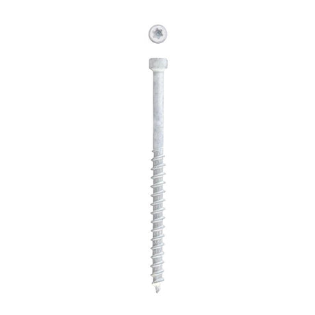 SPAX PowerTrim No. 8 Label X 2-1/2 in. L Star Trim Head Serrated Trim Screws