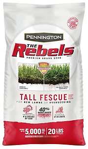 SEED REBEL TALL FESCUE MX 20LB