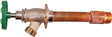 Arrowhead Brass 455-08LF Frost-Free Standard Wall Hydrant, 8 in L, 1/2 x 3/4 in, FIP x MIP x Male Hose Thread, 125 psi