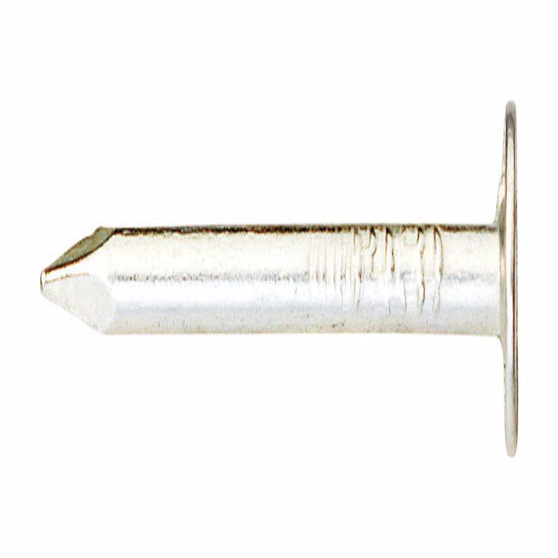 Ace 7/8 in. Roofing Electro-Galvanized Steel Nail Large Head 1 lb