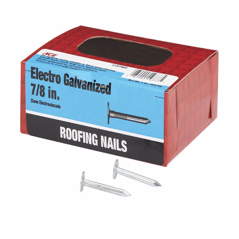 Ace 7/8 in. Roofing Electro-Galvanized Steel Nail Large Head 1 lb