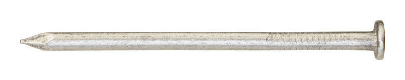 Ace 8D 2-1/2 in. Framing Bright Steel Nail Flat Head 1 lb