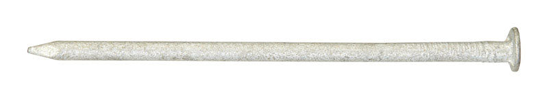 Ace 4D 1-1/2 in. Box Hot-Dipped Galvanized Steel Nail Flat Head 1 lb