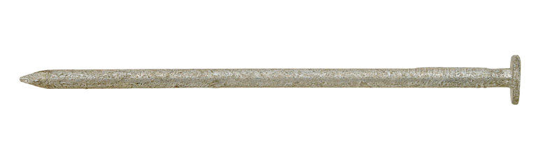 Ace 6D 2 in. Box Hot-Dipped Galvanized Steel Nail Flat Head 5 lb