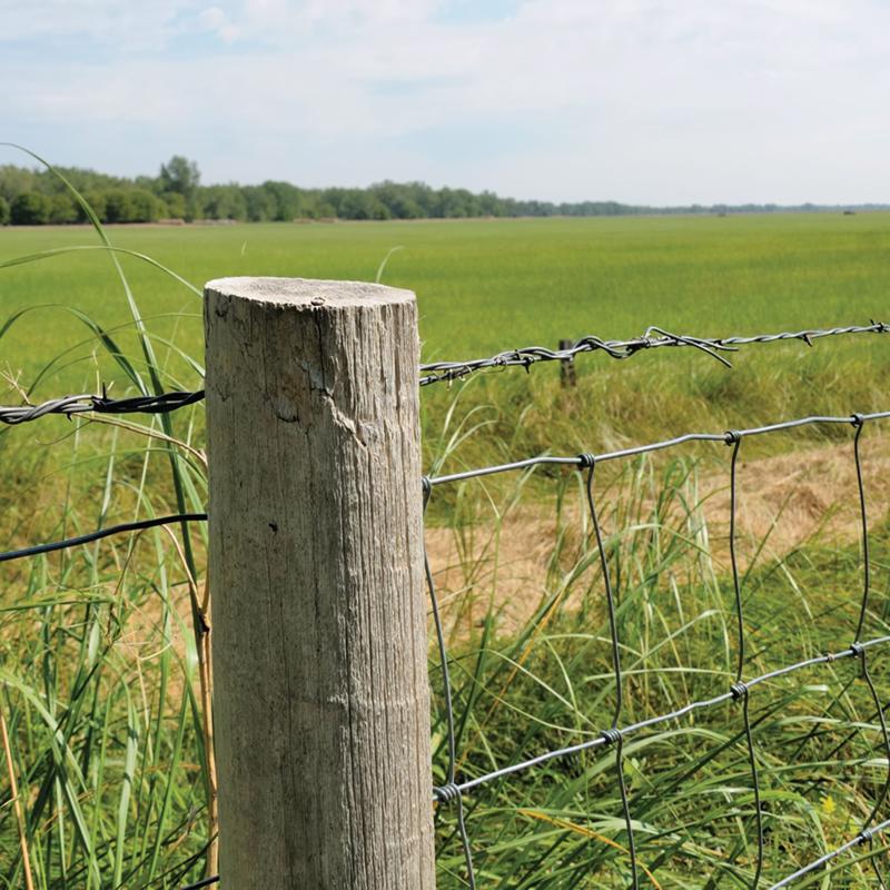 HILLMAN 100 ft. L Galvanized Steel 20 Ga. Wire