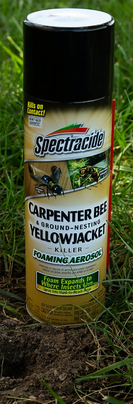 Spectracide 53371 Killer Foam, Liquid, Spray Application, 16 oz