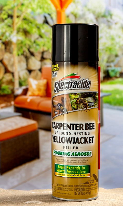 Spectracide 53371 Killer Foam, Liquid, Spray Application, 16 oz