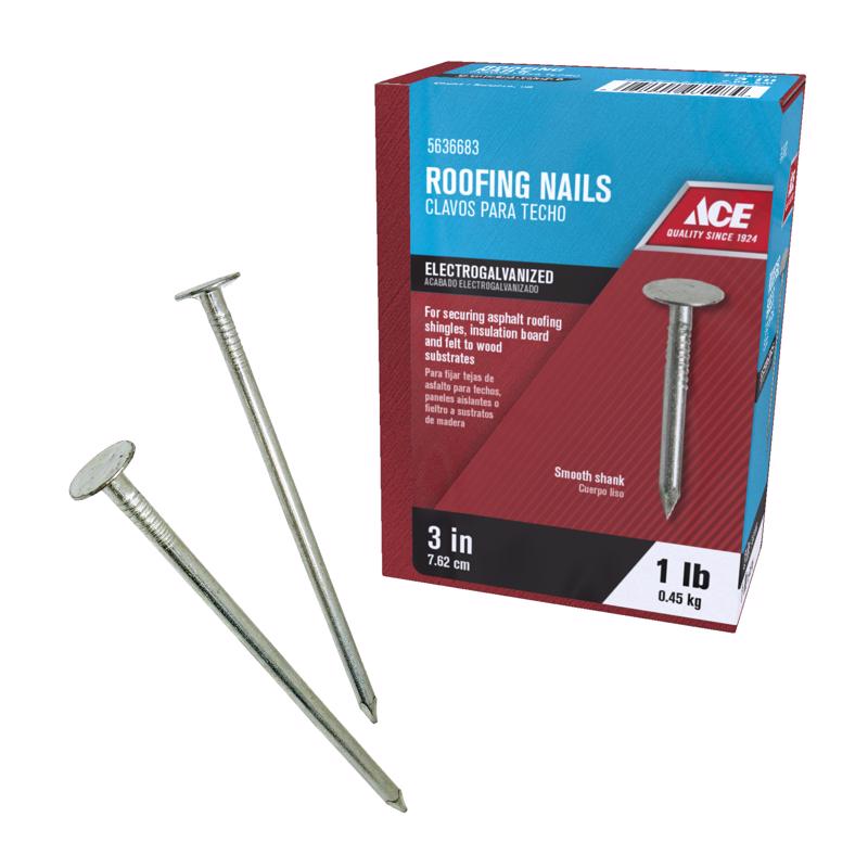 Ace 3 in. Roofing Galvanized Steel Nail Flat Head 1 lb