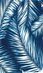 Quagga P11721-NVY Safety Scarf, Navy, Pack of 6