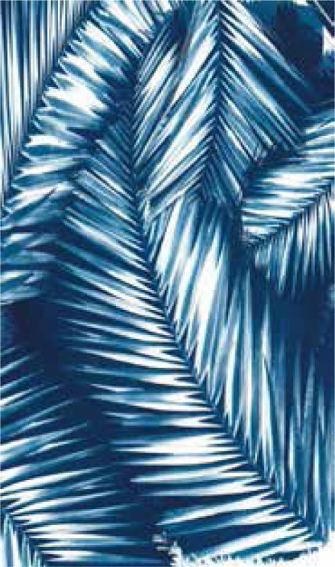 Quagga P11721-NVY Safety Scarf, Navy, Pack of 6