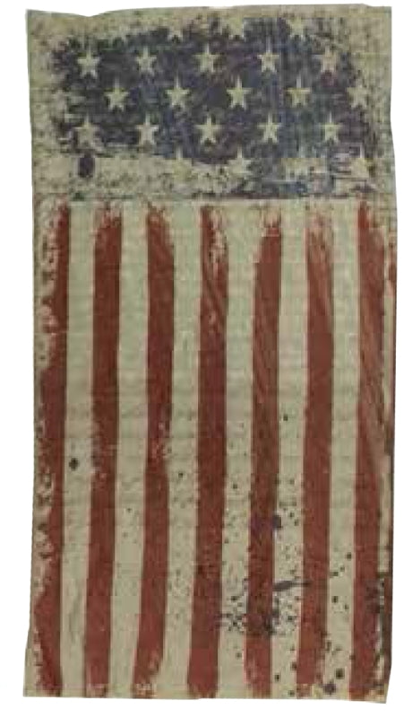 Quagga P21700-FLG Safety Scarf, One-Size Mask, Polyester Facepiece, Flag, Pack of 6