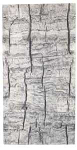 Quagga P21700-WHT Headwear, Unisex, One-Size, Polyester, White, Pack of 6