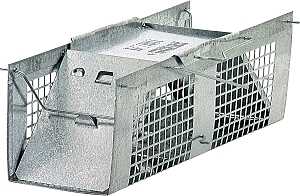 Havahart 1020 Animal Trap, 3 in W, 3 in H, Gravity-Action Door