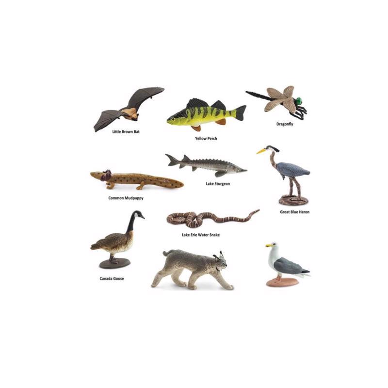 Safari Ltd. Toobs Great Lakes Figure Multicolor 10 pc