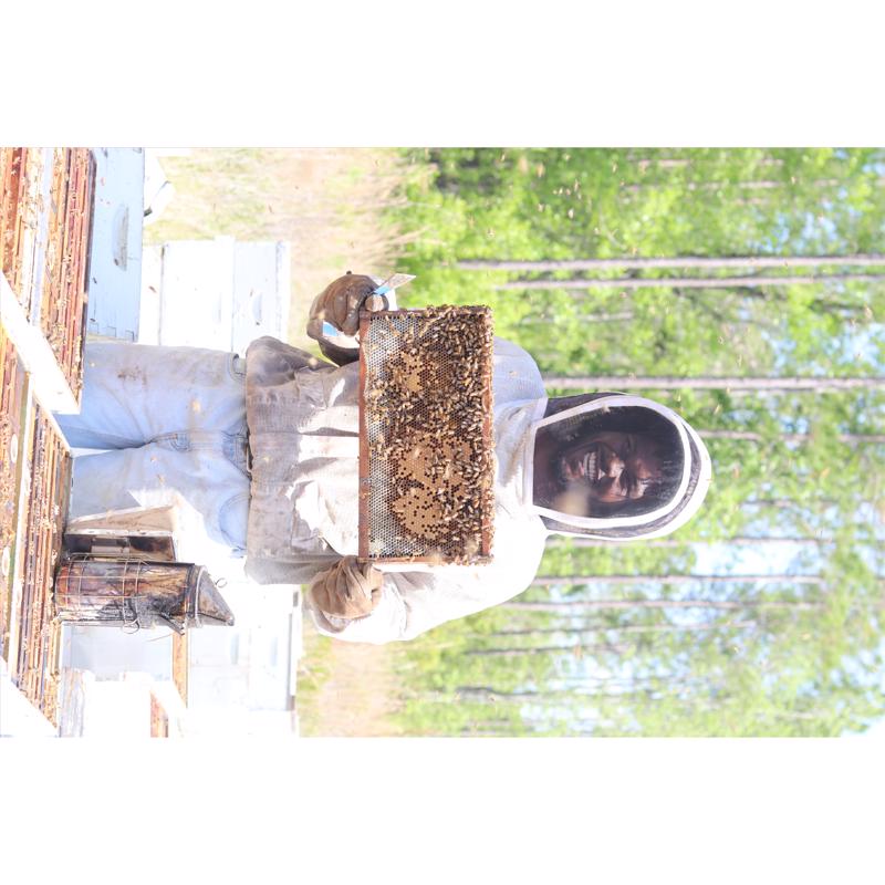 World Honey Market Gallberry Honey 12 oz Bottle, Pack of 12