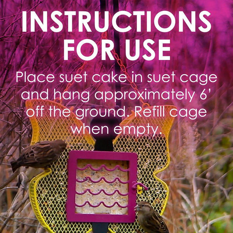 Heath DD-15 Suet Cake, All-Season, Berry, 11.25 oz, Pack of 12