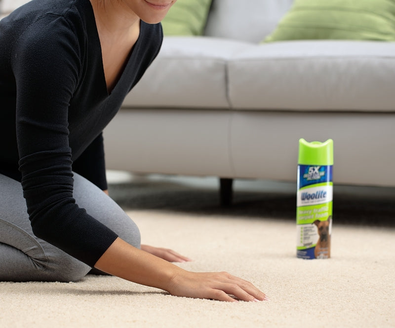 Bissell 0820 Carpet Cleaner, 22 oz Can, Foam, Characteristic