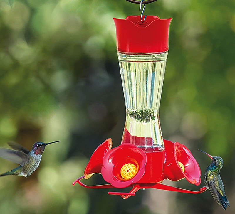 Perky-Pet 203CPBN Bird Feeder, 8 oz, 4-Port/Perch, Glass/Plastic, Bright Red, 8.38 in H