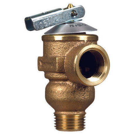 Cash Acme 1/2 in. Bronze Pressure Relief Valve