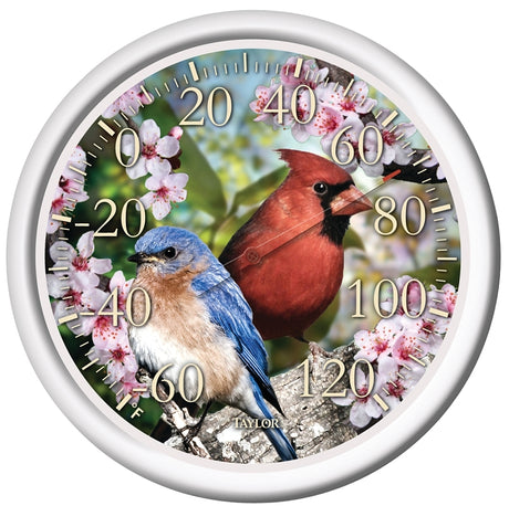 Taylor 6733 Thermometer, 12.72 x 12.5 x 11.38 in Dimensions