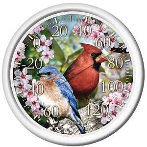 Taylor 6733 Thermometer, 12.72 x 12.5 x 11.38 in Dimensions