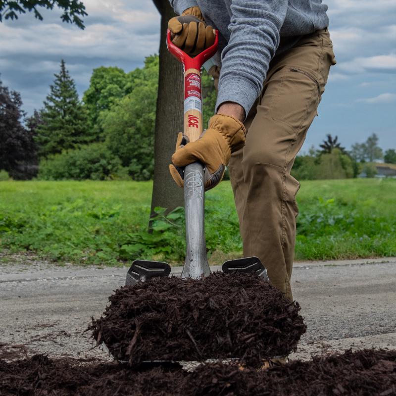 Ace 41.25 in. Steel Square Transfer Shovel Wood Handle, Pack of 6