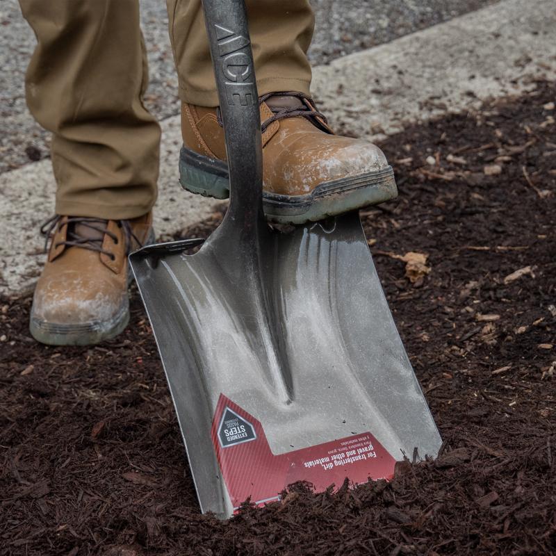 Ace 41.25 in. Steel Square Transfer Shovel Wood Handle, Pack of 6