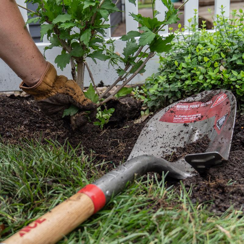 Ace 41.5 in. Steel Round Digging Shovel Wood Handle, Pack of 6