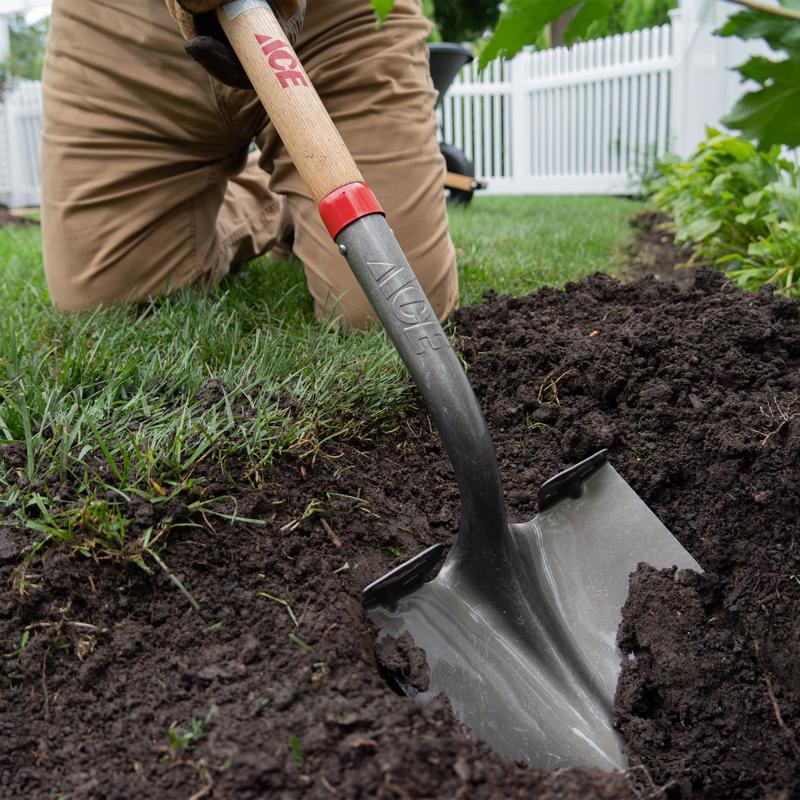 Ace 41.5 in. Steel Round Digging Shovel Wood Handle, Pack of 6