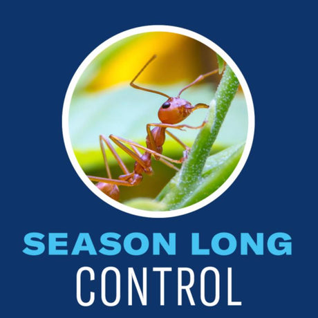 BioAdvanced Complete Brand Insect Killer for Soil & Turf Granules 10 lb