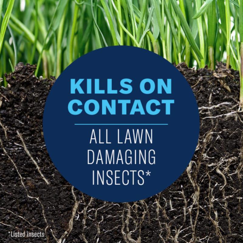 BioAdvanced Complete Brand Insect Killer for Soil & Turf Granules 10 lb