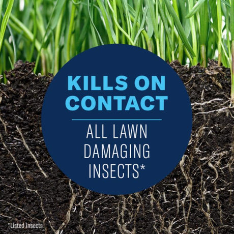 BioAdvanced Complete Brand Insect Killer for Soil & Turf Granules 10 lb