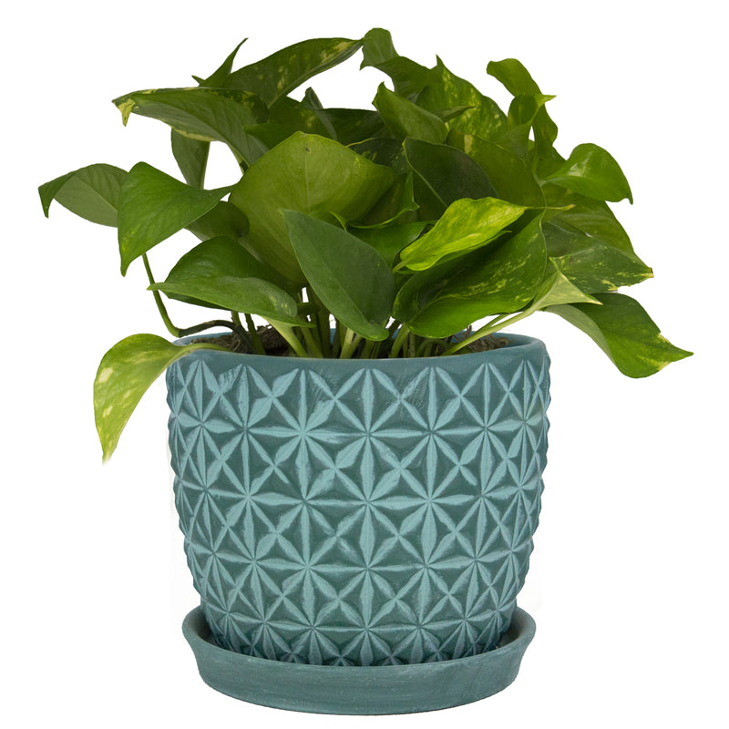 Trendspot Tribeca 7.3 in. H X 8.3 in. W X 8.3 in. D X 8 in. D Ceramic Planter Teal, Pack of 2