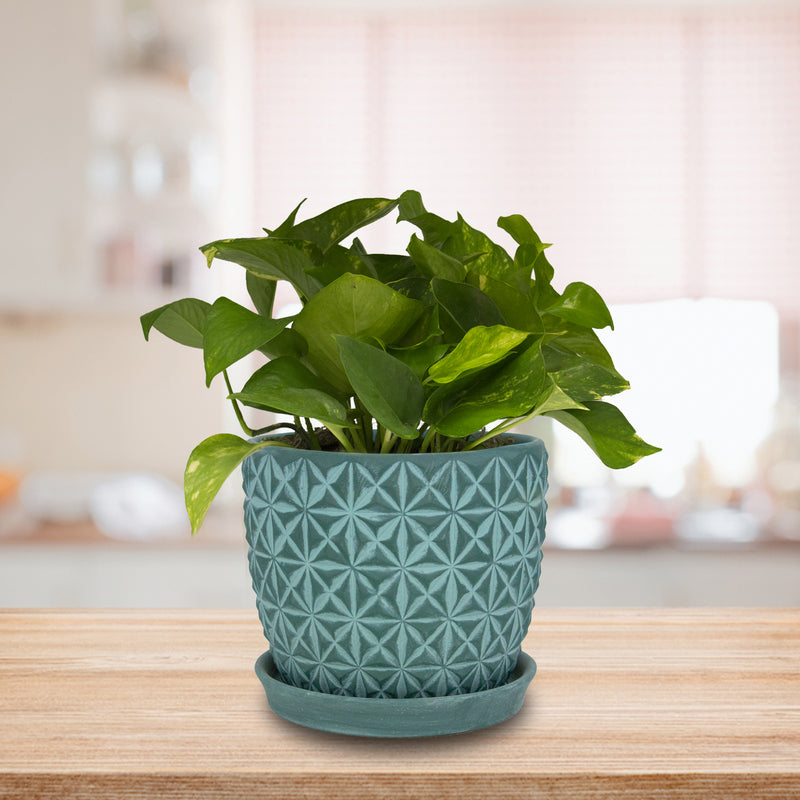 Trendspot Tribeca 7.3 in. H X 8.3 in. W X 8.3 in. D X 8 in. D Ceramic Planter Teal, Pack of 2