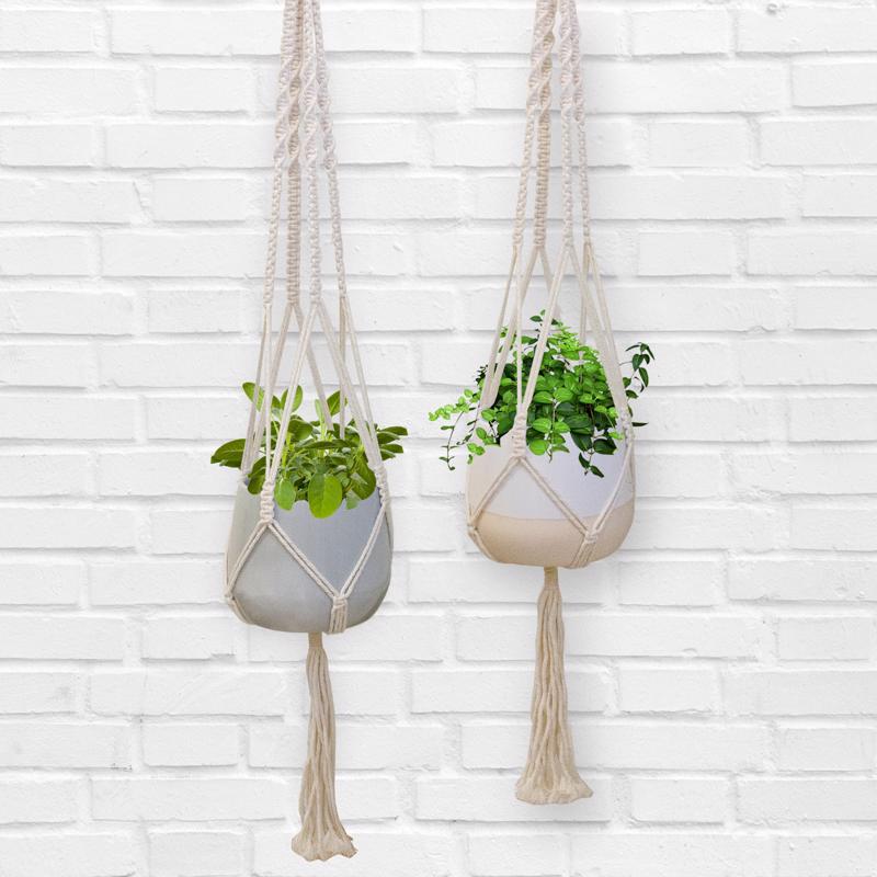 Trendspot Macrame 4.7 in. H X 5.7 in. W X 5.7 in. D X 5.5 in. D Ceramic Planter White, Pack of 2