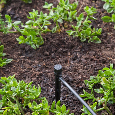 Raindrip Half-Circle Drip Irrigation Bubbler 30 gph 5 pk