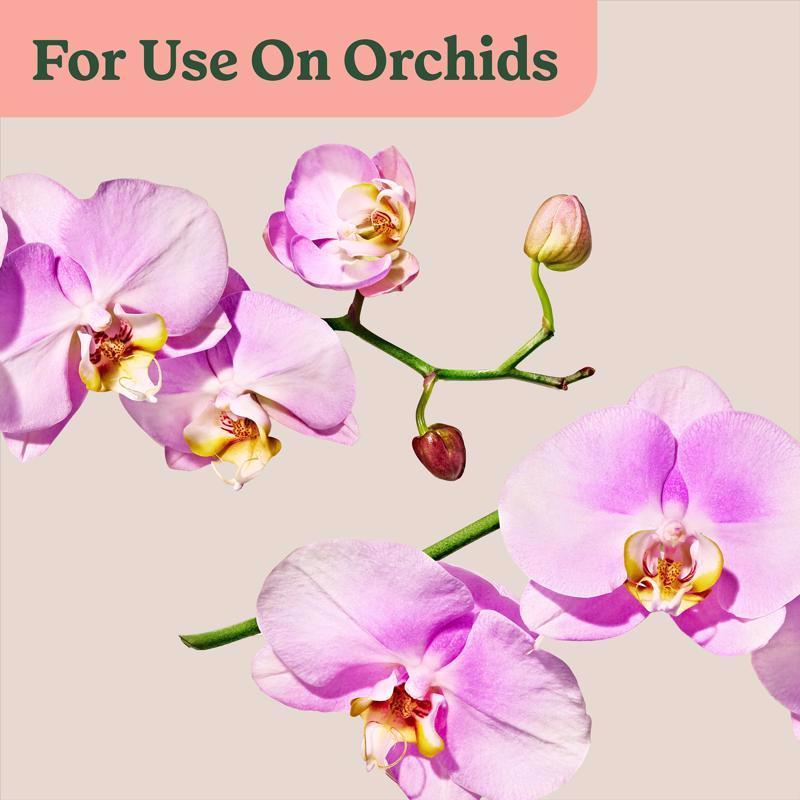 Miracle-Gro 200195 Orchid Plant Food Mist, 8 oz Bottle, Liquid, 0.02-0.02-0.02 N-P-K Ratio