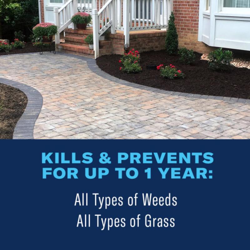 BioAdvanced 365 Weed and Grass Killer Concentrate 28 oz, Pack of 8