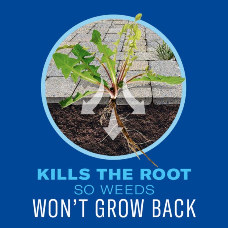 BioAdvanced 365 Weed and Grass Killer Concentrate 28 oz, Pack of 8