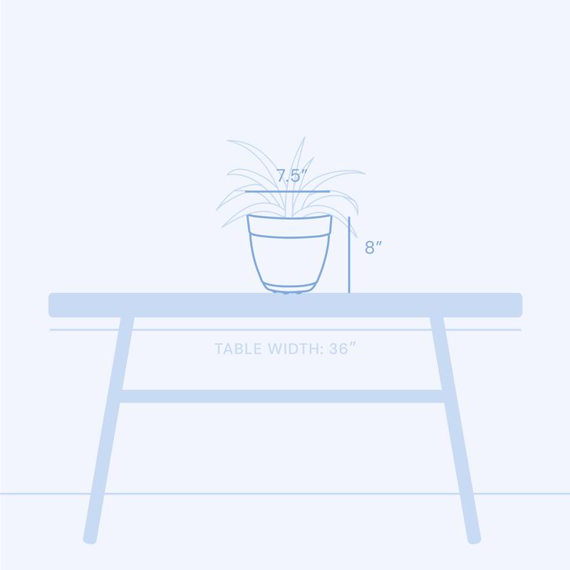 Bloem Dayton 8 in. D Plastic Planter Coral