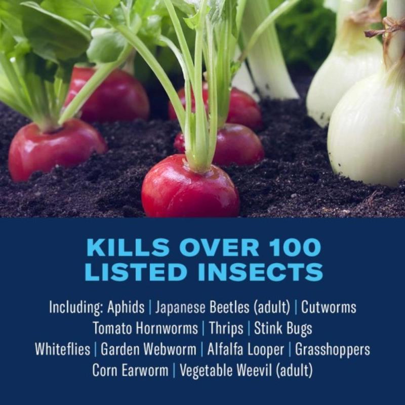 BioAdvanced Ready-to-Use, Tomato & Vegetable Insect Killer Spray 24 oz