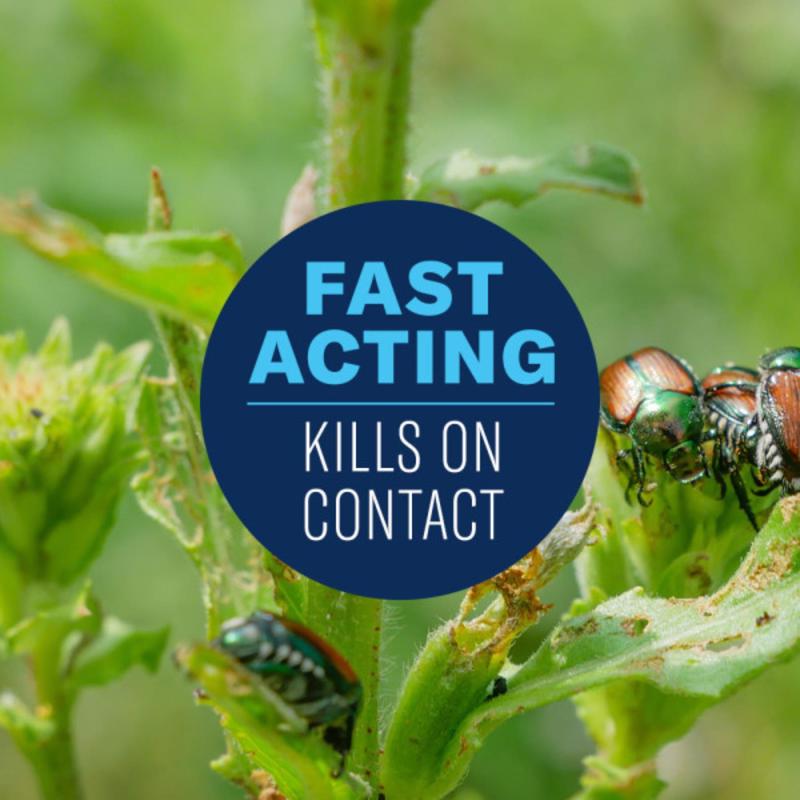 BioAdvanced Ready-to-Use, Tomato & Vegetable Insect Killer Spray 24 oz