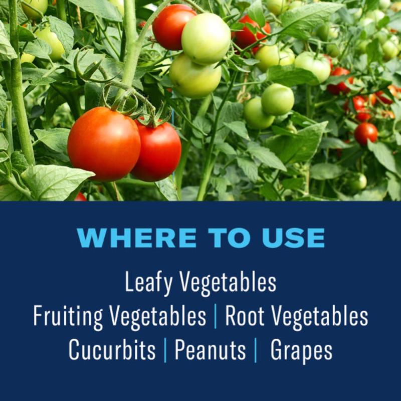 BioAdvanced Ready-to-Use, Tomato & Vegetable Insect Killer Spray 24 oz