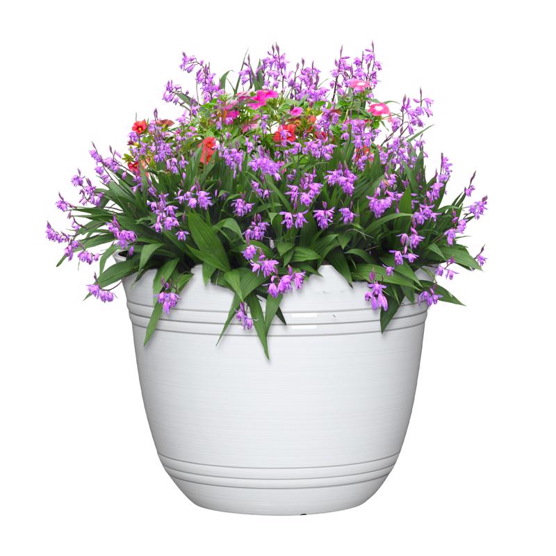 L&G 11 in. H X 14.5 in. W X 14.5 in. D X 14.5 in. D Polyresin Galileo Planter White