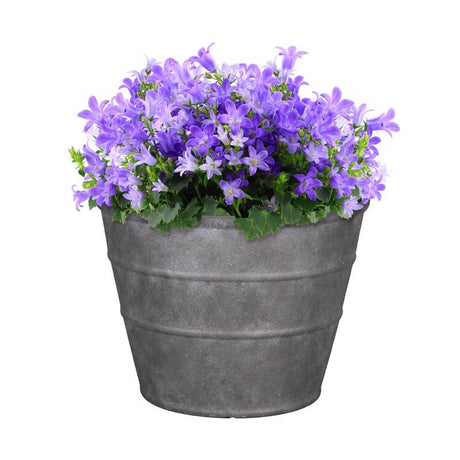 v 12 in. H X 16 in. D Polyresin Hamilton Planter Charcoal