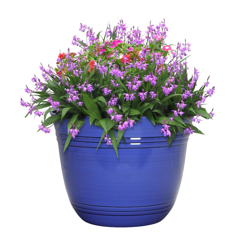 L&G 11 in. H X 14.5 in. W X 14.5 in. D X 14.5 in. D Polyresin Galileo Planter Cobalt