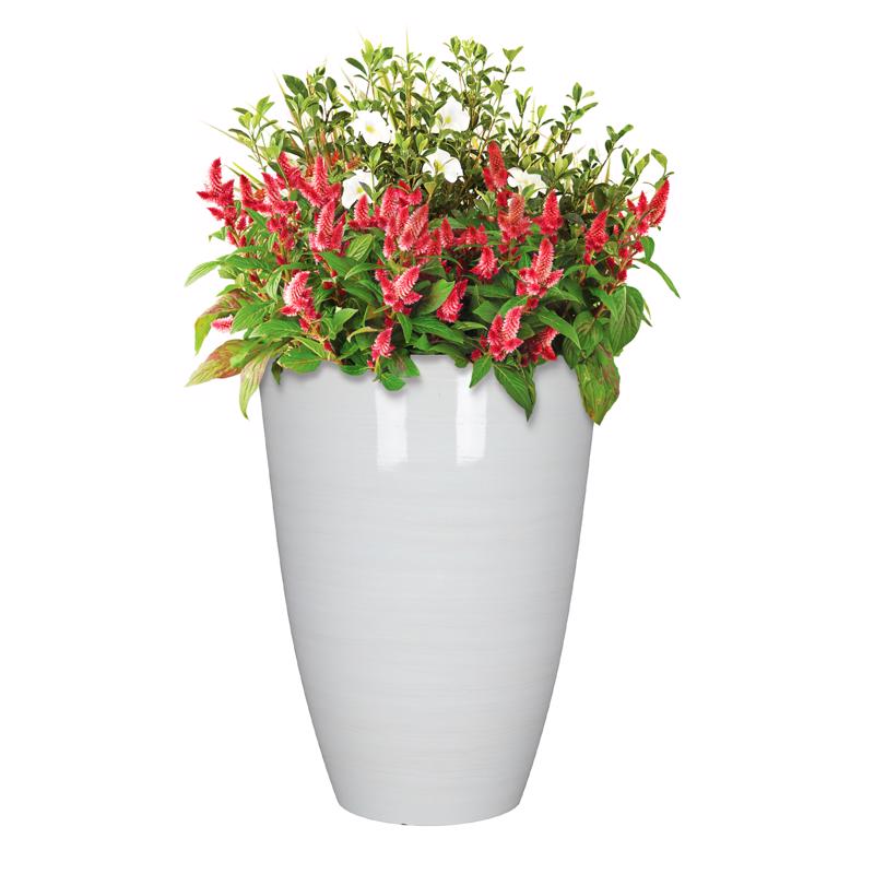 L&G 22 in. H X 16 in. D Polyresin Baja Planter White