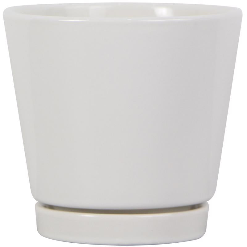 Trendspot 4 in. H X 4 in. W X 4 in. D Ceramic Knack Planter White, Pack of 12