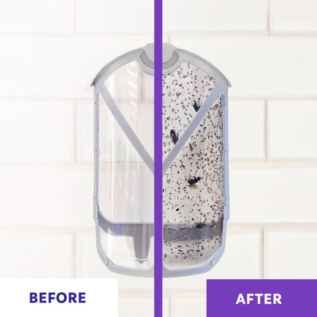 Zevo Value Pack Refills Flying Insect Trap, Pack of 4